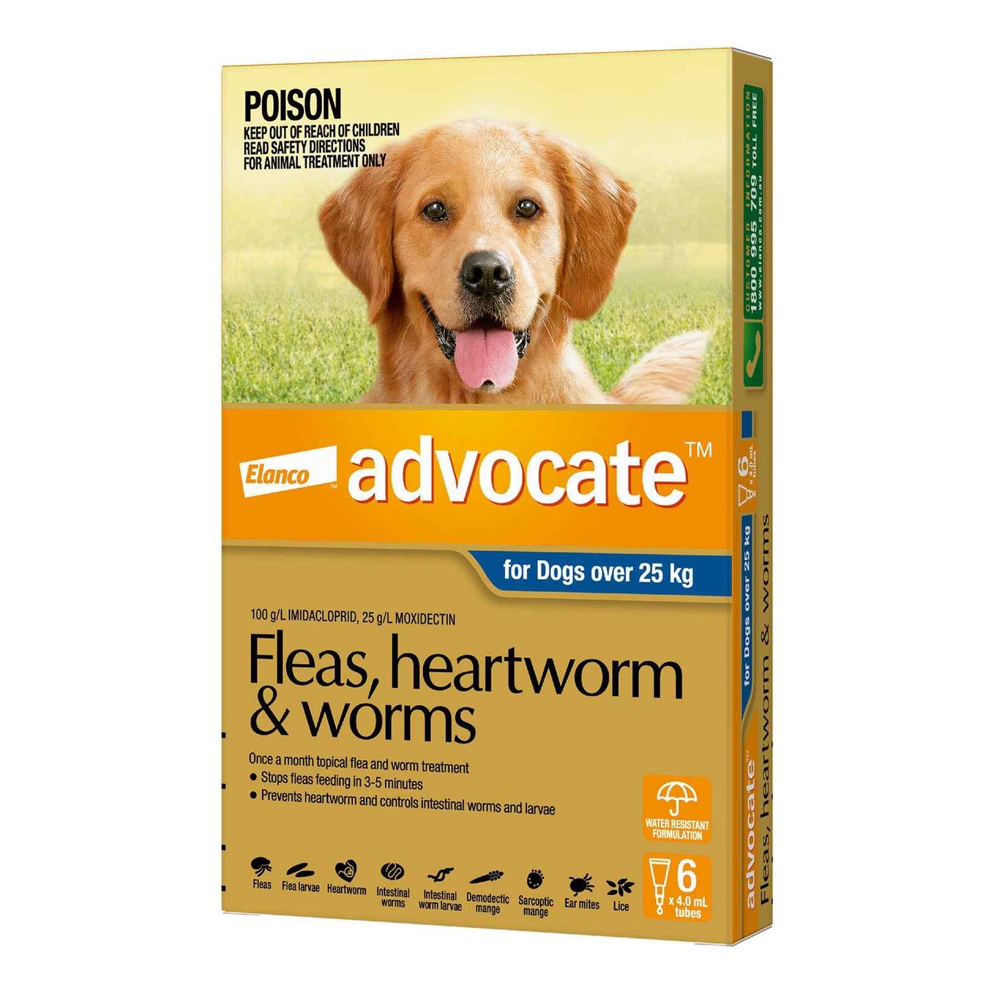 Advantage Advocate for Dogs