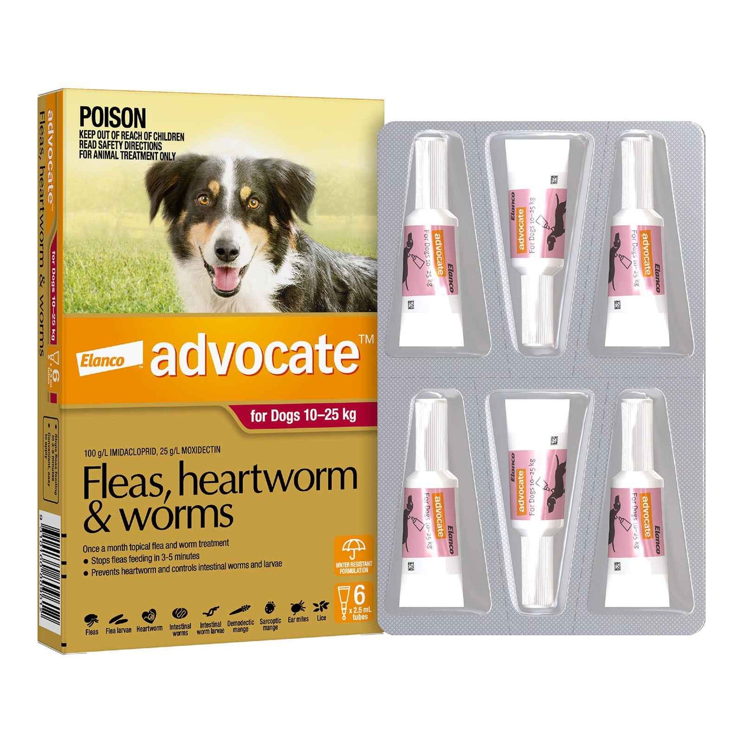 Advantage Advocate for Dogs