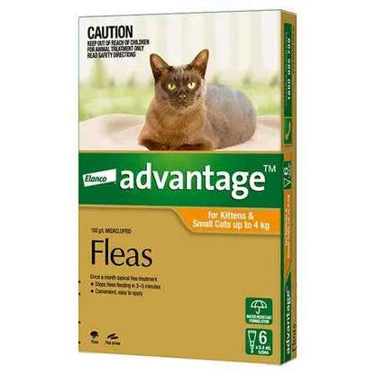Advantage for Cats