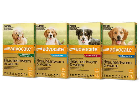 Advantage Advocate for Dogs