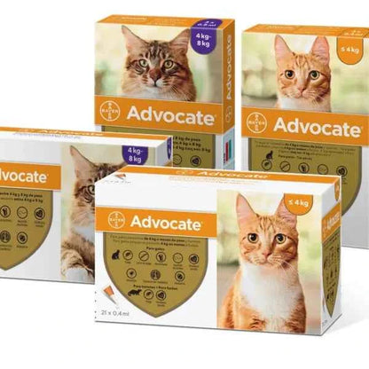 Advantage Advocate for Cats