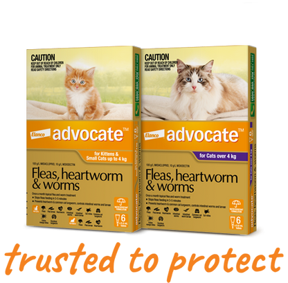 Advantage Advocate for Cats
