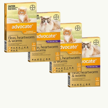 Advantage Advocate for Cats