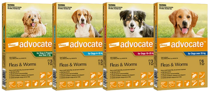 Advantage Advocate for Dogs