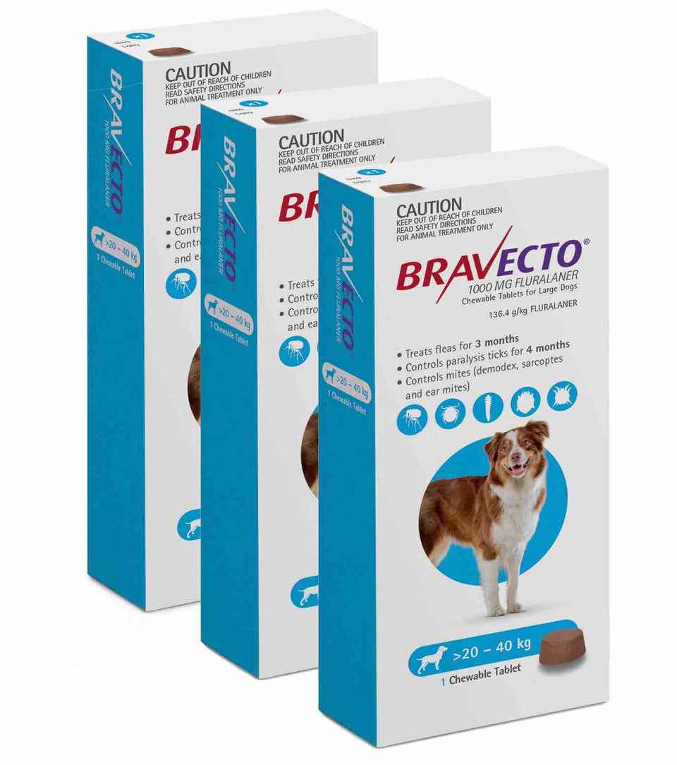 Bravecto for Dogs