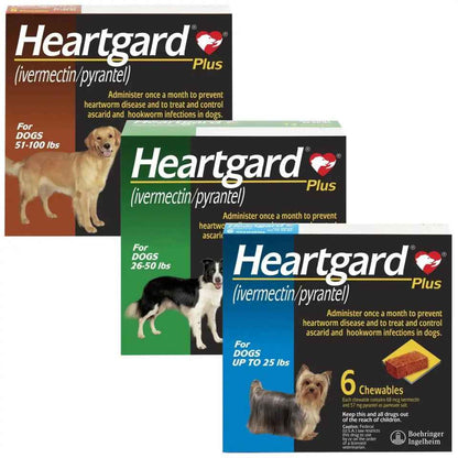 Heartgard Plus for Dogs
