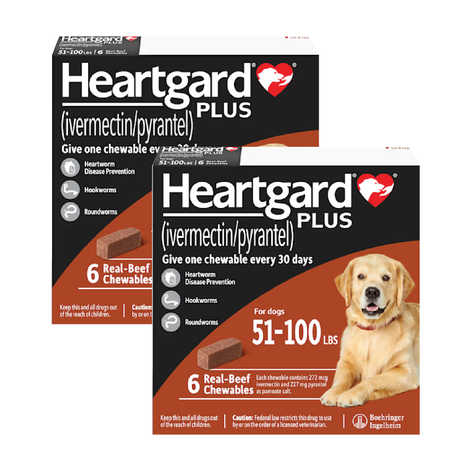 Heartgard Plus for Dogs 
 - Heartgard Plus for Dogs