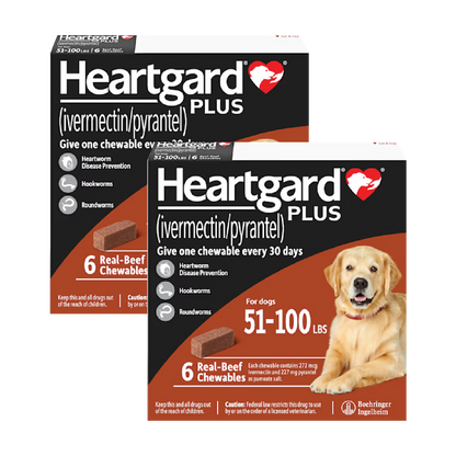 Heartgard Plus for Dogs 
 - Heartgard Plus for Dogs