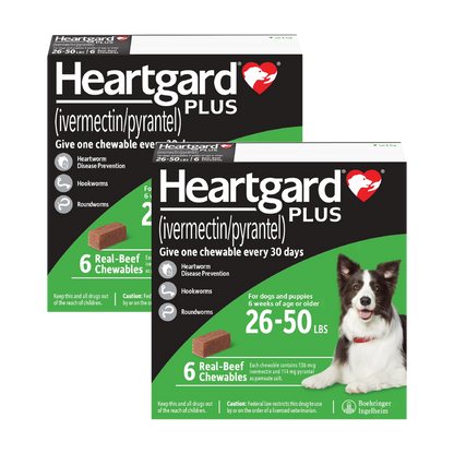 Heartgard Plus for Dogs 
 - Heartgard Plus for Dogs