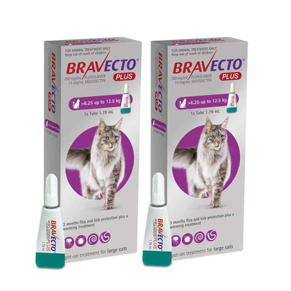 Bravecto Plus for Cats