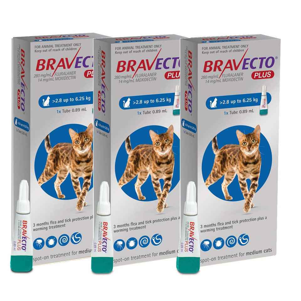 Bravecto Plus for Cats