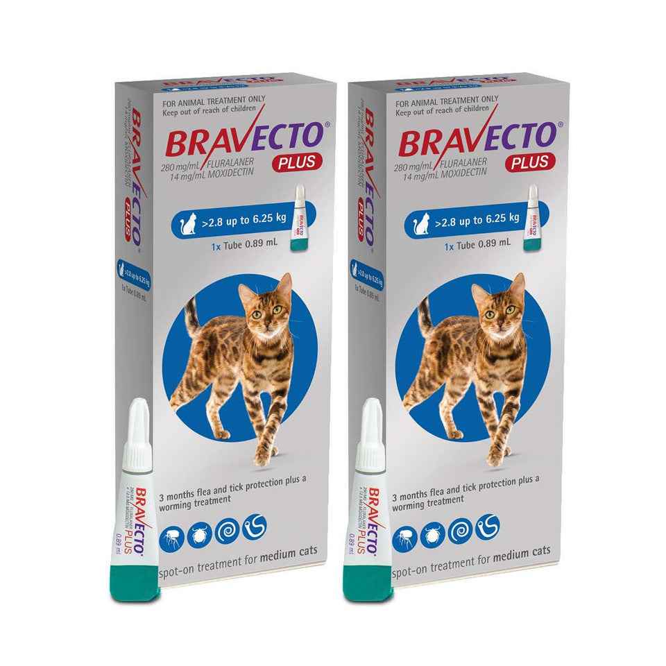 Bravecto Plus for Cats