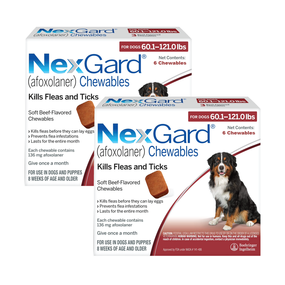 Nexgard for Dogs 
 - Nexgard for Dogs