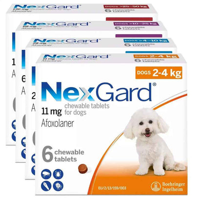 Nexgard for Dogs