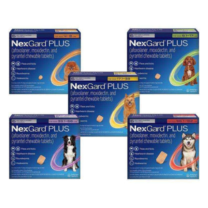 Nexgard Plus