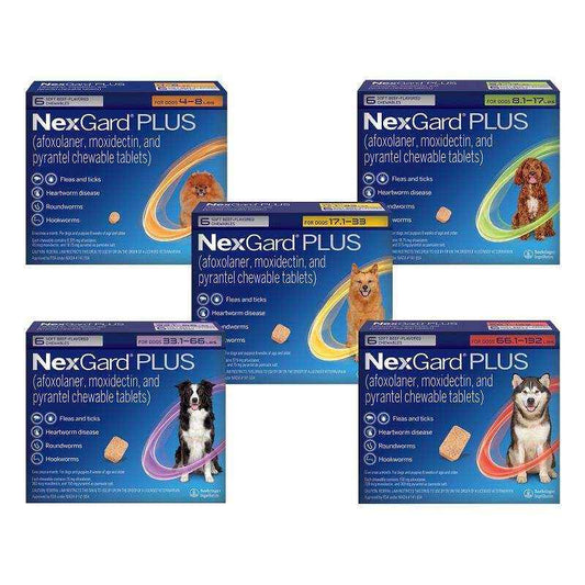 Nexgard Plus