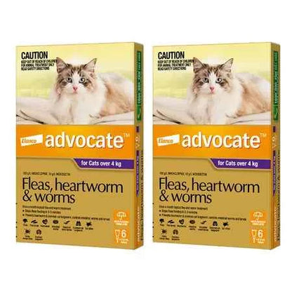 Advantage Advocate for Cats