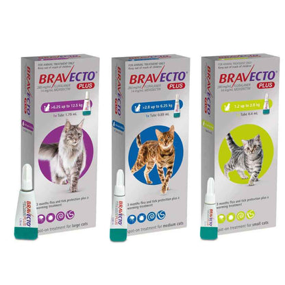 Bravecto Plus for Cats