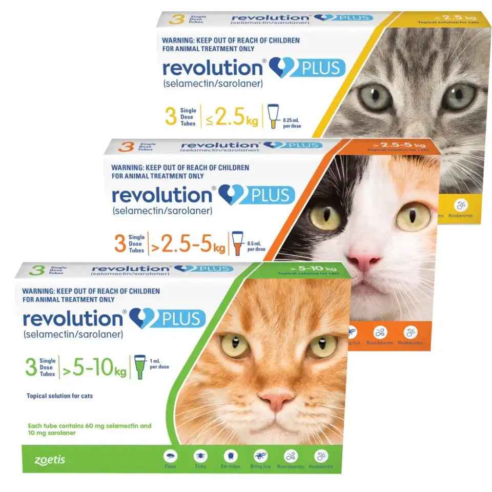 Revolution Plus for Cats