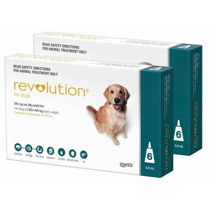 Revolution for Dogs