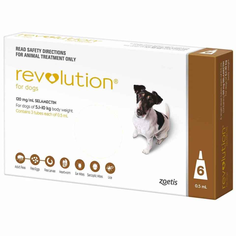 Revolution for Dogs