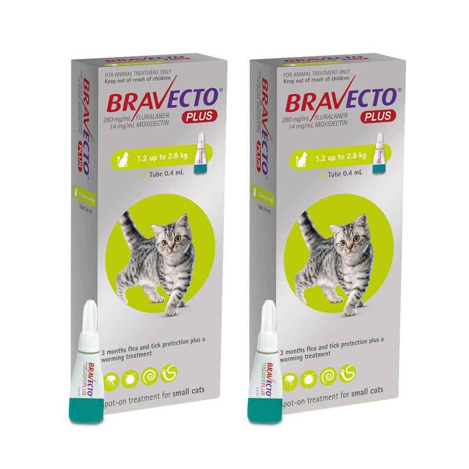 Bravecto Plus for Cats