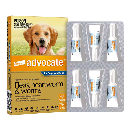 Advantage Advocate for Dogs