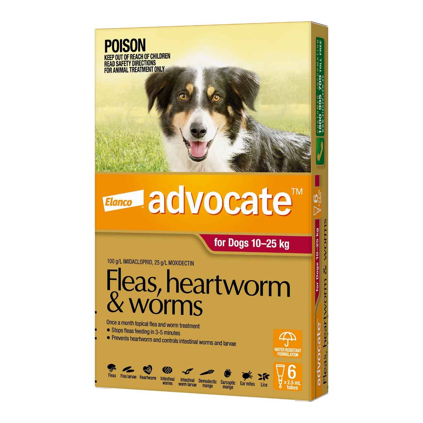 Advantage Advocate for Dogs