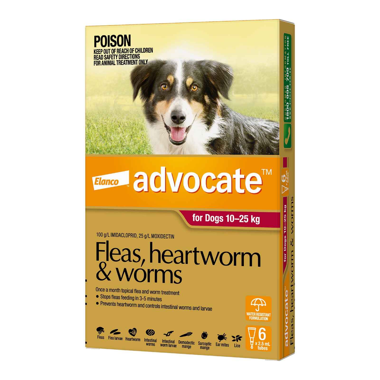 Advantage Advocate for Dogs